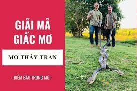 Giải mã giấc mơ thấy trăn: Sinh vật rất mạnh mẽ và bí ẩn