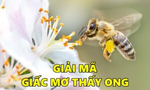 Giải mã giấc mơ thấy ong – Mơ thấy ong báo hiệu điều gì?