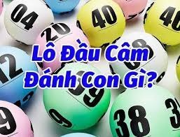 Đâu cầm 1 mai đánh con gì? Kinh nghiệm áp dụng hiệu quả