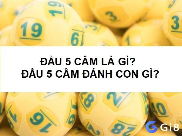 Khám phá Đâu cầm 5 mai đánh con gì cùng Gi8 nhé!