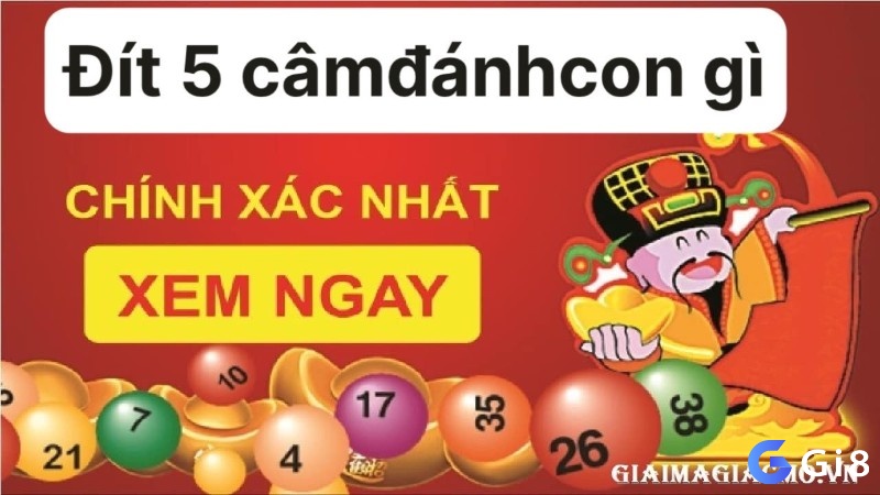 Tìm hiểu về Đít 5 câm đánh con gì cùng Gi8 nhé!