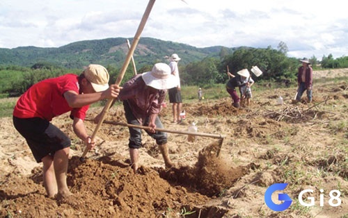 Mơ thấy mình đang cuốc đất mang điềm báo về sự đổi mới trong công việc