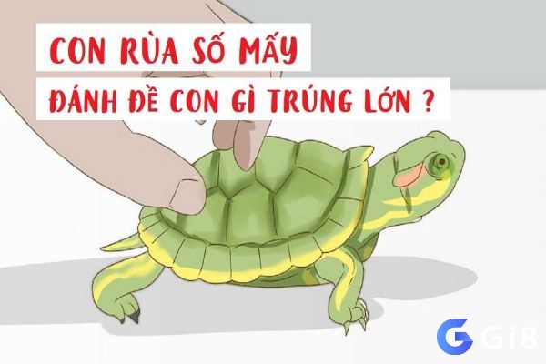 Nằm mơ thấy rùa đánh số gì còn tùy vào bối cảnh mơ