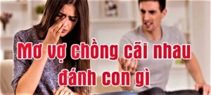 Vợ chồng cãi nhau đánh số gì cho dễ trúng? Giải mã chi tiết