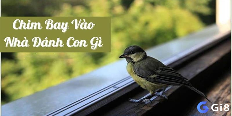 Chim bay vào nhà đánh số gì để ăn lô đề? 