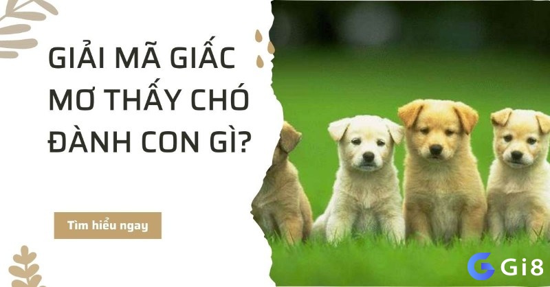 Tuổi Tý mơ thấy chó nên thử đánh các con số may mắn 04, 14, 24