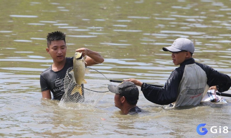 Điềm báo nào sẽ đến khi mơ thấy bắt cá sông hồ