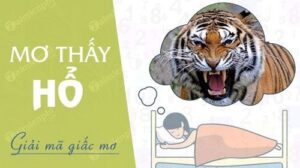 Mơ thấy con hổ đánh đề con gì? Giải mã điềm báo, ý nghĩa