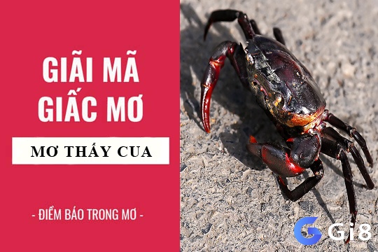 Gi88 sẽ cùng anh em tìm hiểu bí ẩn khi nằm mơ thấy cua đánh đề con gì nhé!