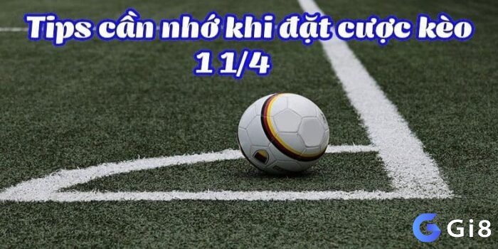 Kinh nghiệm chơi kèo 1 1/4 từ chuyên gia và cao thủ chia sẻ 