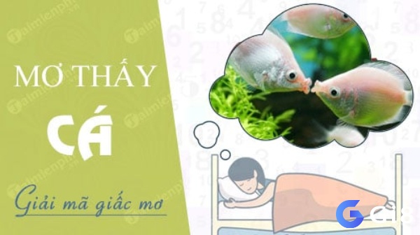 Tại sao lại nhìn thấy cá trong giấc mơ? mơ thấy cá đánh đề con gì?