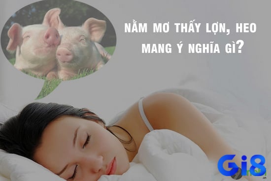 Cùng Gi8 đi tìm những chiêm bao của giấc mộng nằm ngủ mơ thấy lợn có điềm báo