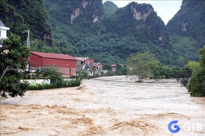 Nằm mơ thấy nước lũ đánh đề con gì hãy để chuyên gia giải mã chi tiết